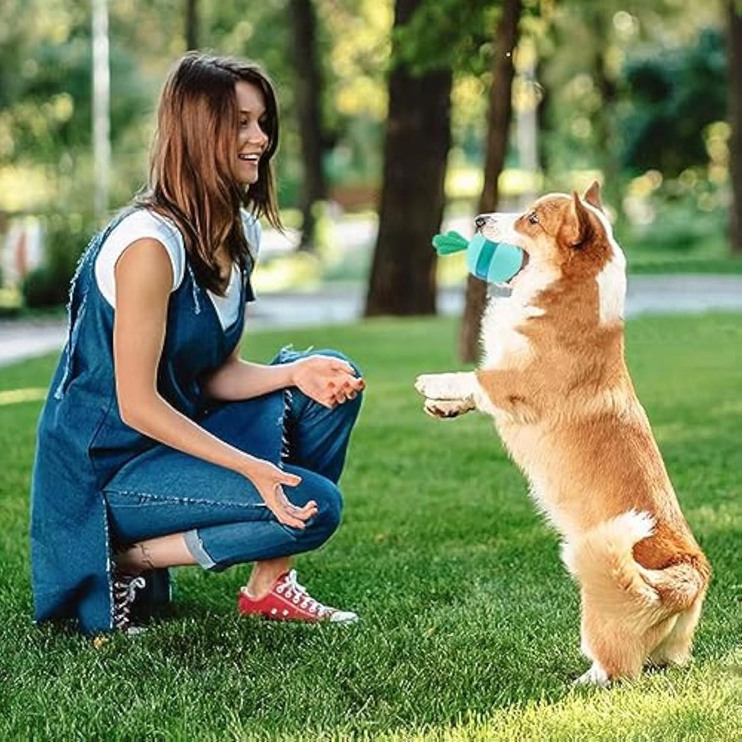 843d9b63d87564717a87906098a2b17d