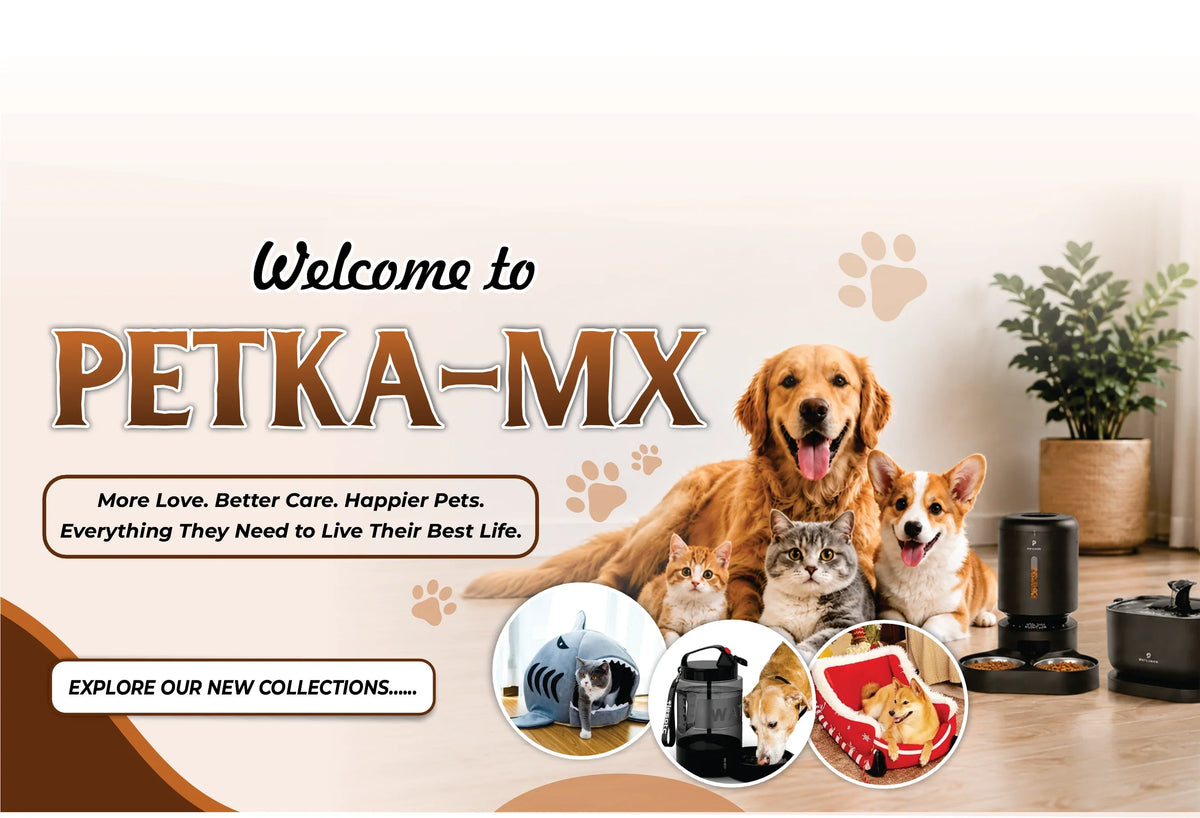 Golden Retriever, Corgi, and cats with various pet accessories like feeders and pet carriers.